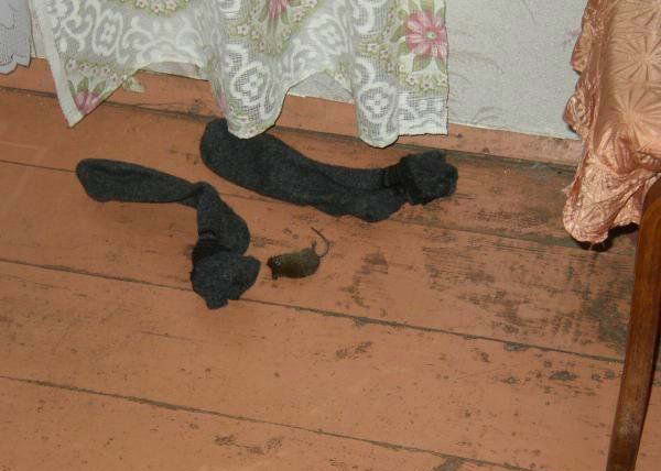 Smertq.jpg