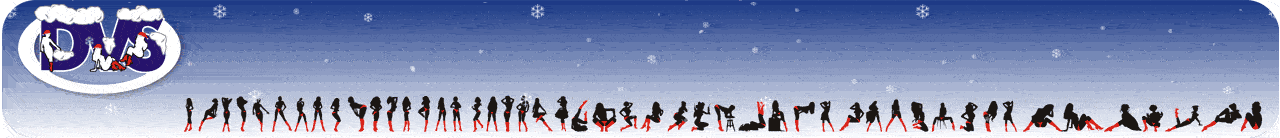 dvs_happy_new_year.gif