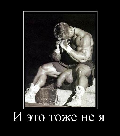Не я3.jpg