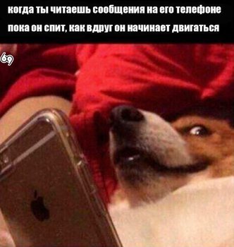 Дааа!;)